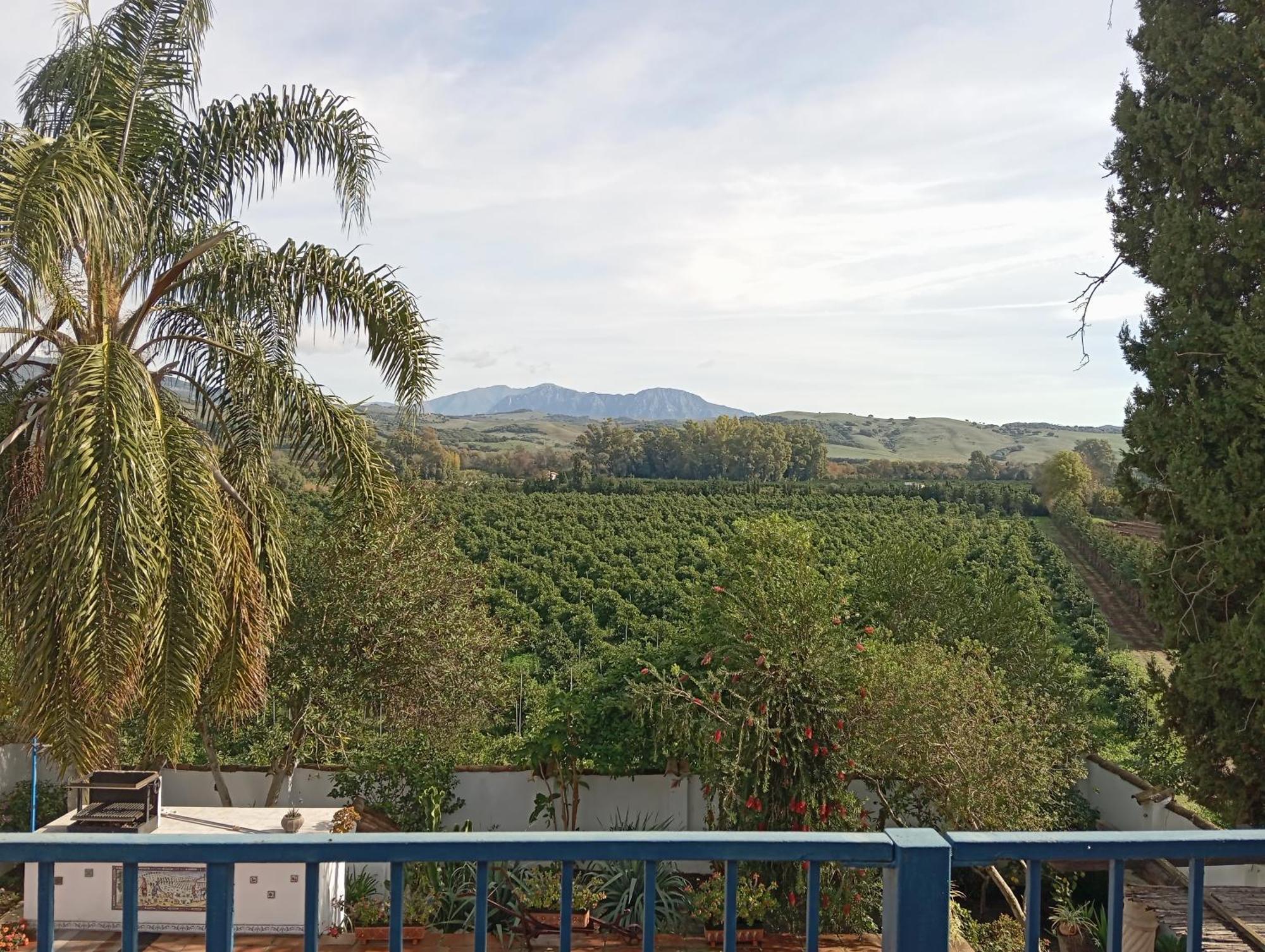 Los Dos Cedros San Pablo Bagian luar foto